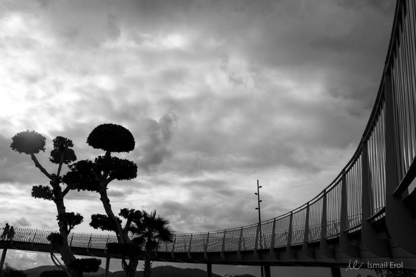Gallery item